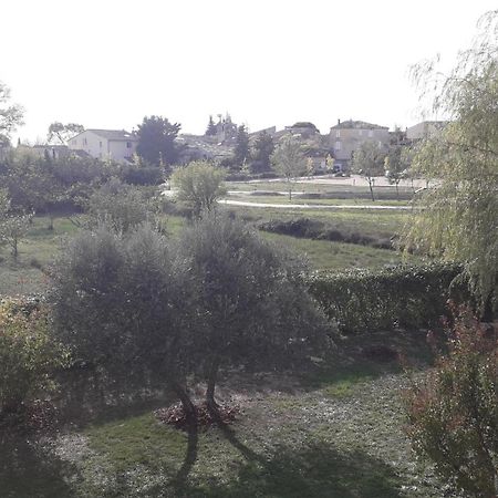 Un Petit Coin De Paradis Modene Стая снимка